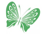      XXI 