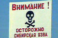 1_17.jpg